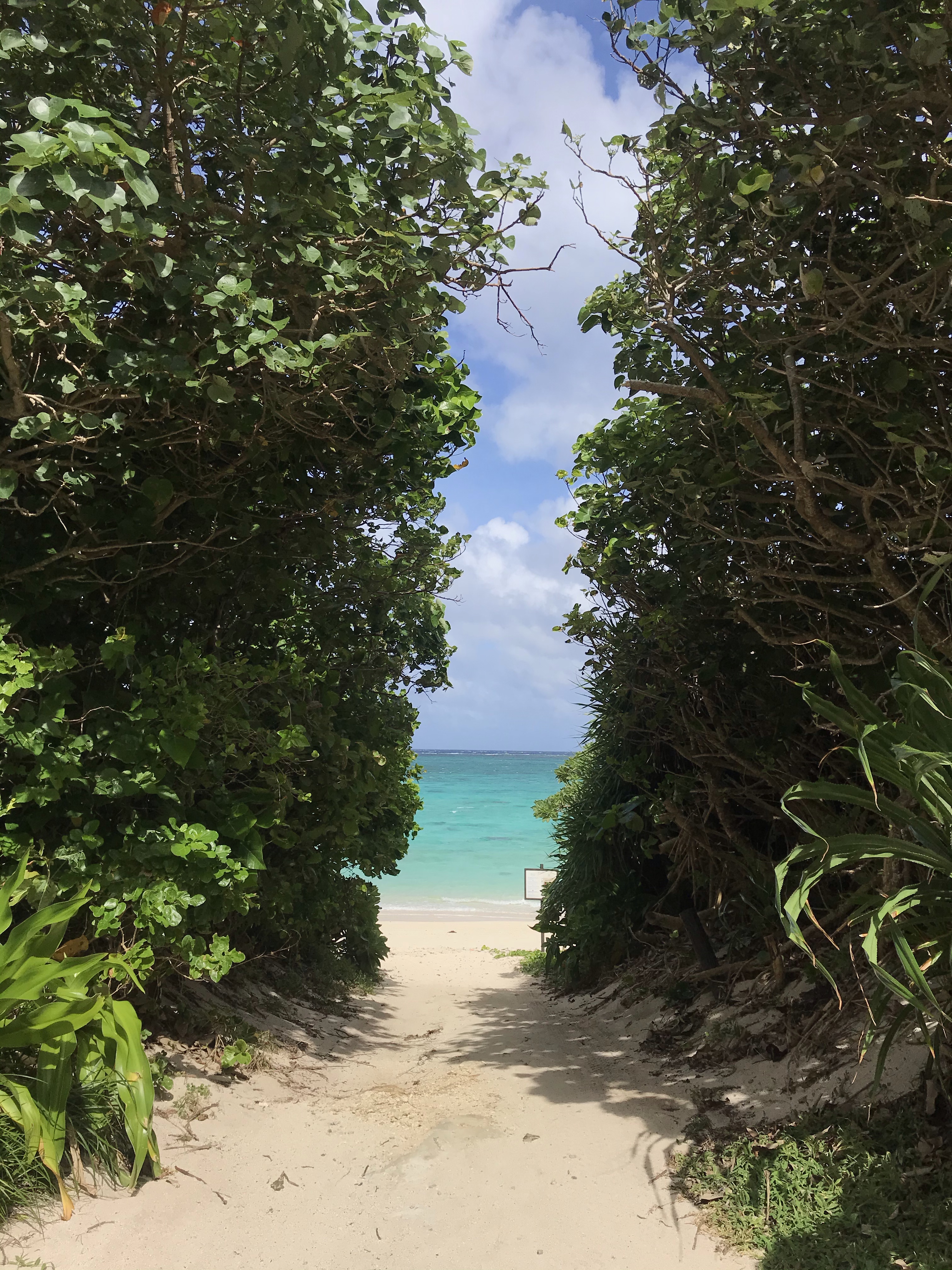 The beach at Club Med